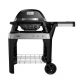 Weber Pulse 2000 met onderstel